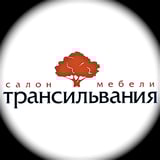 Трансильвания - Danaya logo